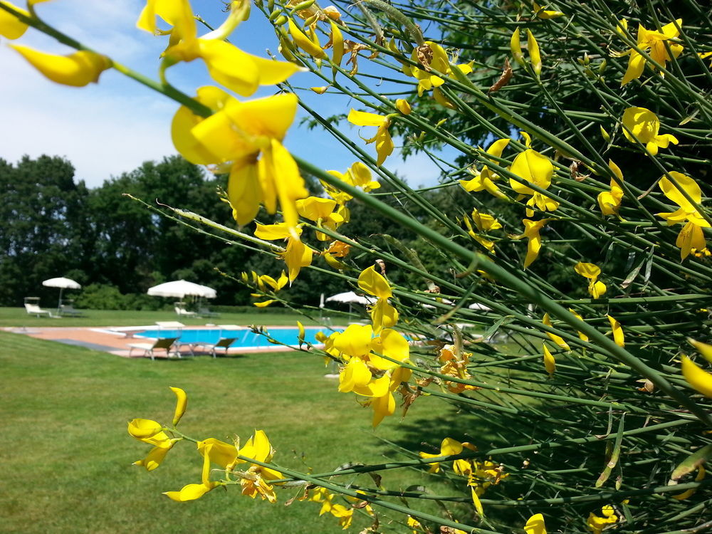 Pratello Country Resort Ghizzano Exterior foto
